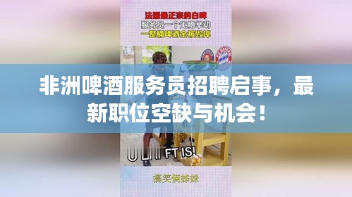 非洲啤酒服务员招聘启事，最新职位空缺与机会！