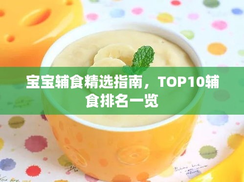 管理团队 第7页
