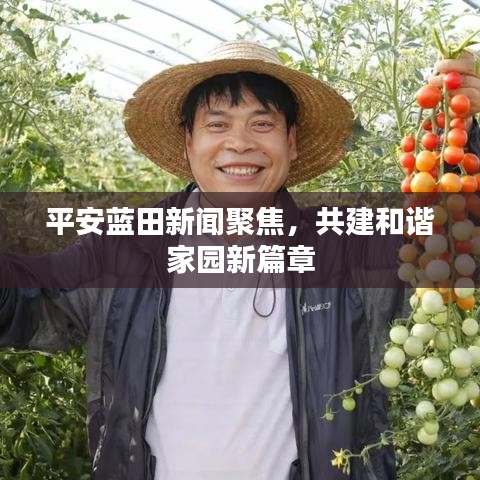平安蓝田新闻聚焦，共建和谐家园新篇章