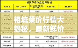 相城菜价行情大揭秘，最新鲜价格走势！
