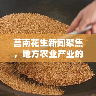 2025年6月2日
