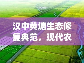 汉中黄塘生态修复典范，现代农业发展与自然和谐共生