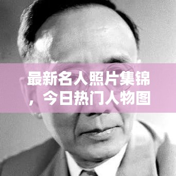 最新名人照片集锦，今日热门人物图片大全