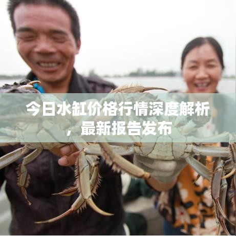 今日水缸价格行情深度解析，最新报告发布