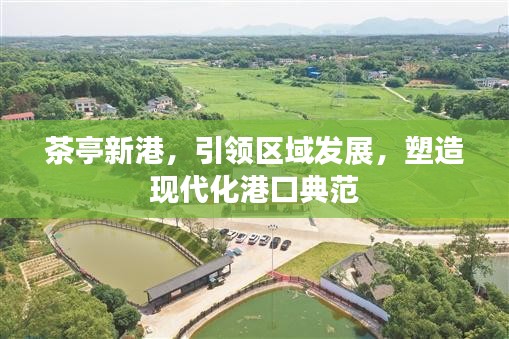 茶亭新港，引领区域发展，塑造现代化港口典范