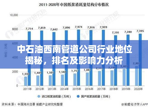 中石油西南管道公司行业地位揭秘，排名及影响力分析