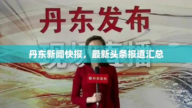 丹东新闻快报，最新头条报道汇总