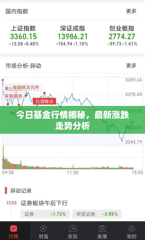 今日基金行情揭秘，最新涨跌走势分析