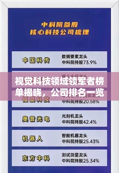 视觉科技领域领军者榜单揭晓，公司排名一览无余！