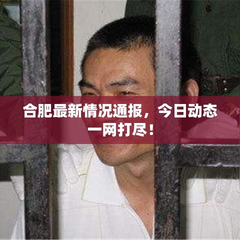 合肥最新情况通报，今日动态一网打尽！