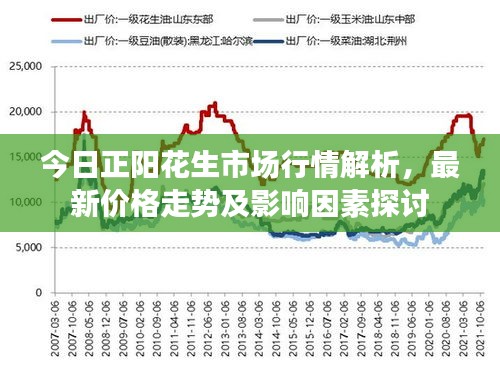 今日正阳花生市场行情解析，最新价格走势及影响因素探讨