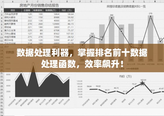 数据处理利器，掌握排名前十数据处理函数，效率飙升！