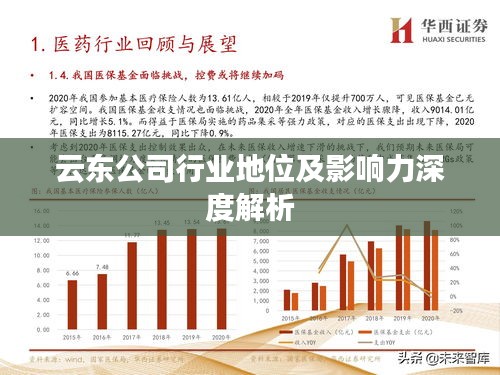 云东公司行业地位及影响力深度解析