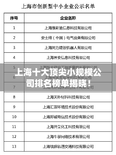 上海十大顶尖小规模公司排名榜单揭晓！