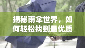 揭秘雨伞世界，如何轻松找到最优质雨伞，一键搜索即刻揭晓！