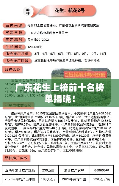 广东花生上榜前十名榜单揭晓！