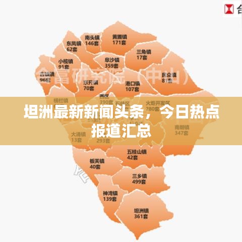 坦洲最新新闻头条，今日热点报道汇总