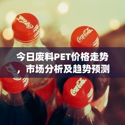 今日废料PET价格走势，市场分析及趋势预测