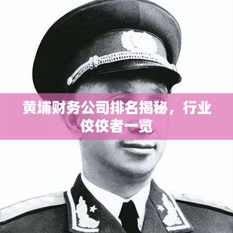 黄埔财务公司排名揭秘，行业佼佼者一览