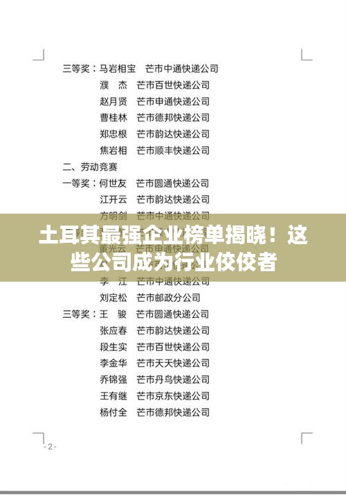 土耳其最强企业榜单揭晓！这些公司成为行业佼佼者