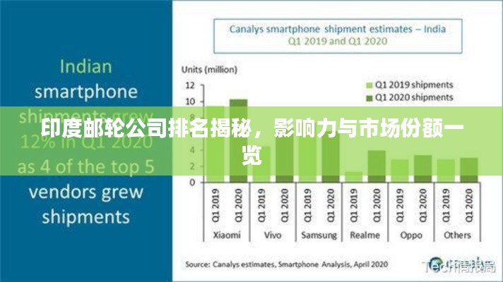 印度邮轮公司排名揭秘，影响力与市场份额一览