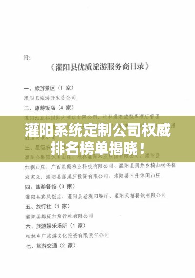 灌阳系统定制公司权威排名榜单揭晓！