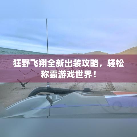狂野飞翔全新出装攻略，轻松称霸游戏世界！