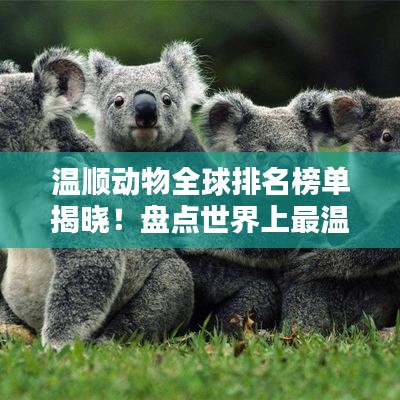 温顺动物全球排名榜单揭晓！盘点世界上最温顺的动物TOP榜