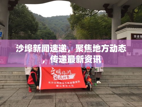 沙埠新闻速递，聚焦地方动态，传递最新资讯
