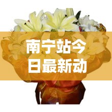 南宁站今日最新动态速递