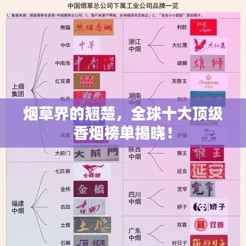 烟草界的翘楚，全球十大顶级香烟榜单揭晓！