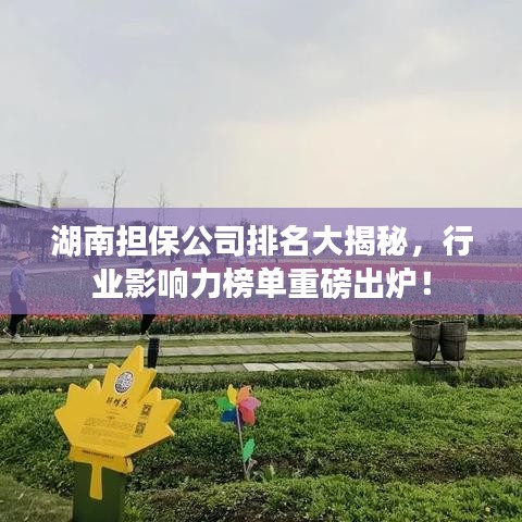 湖南担保公司排名大揭秘，行业影响力榜单重磅出炉！