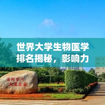 世界大学生物医学排名揭秘，影响力与实力并存！