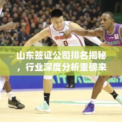 山东签证公司排名揭秘，行业深度分析重磅来袭！