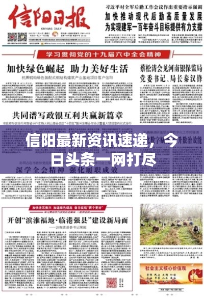 信阳最新资讯速递，今日头条一网打尽