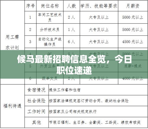 候马最新招聘信息全览，今日职位速递