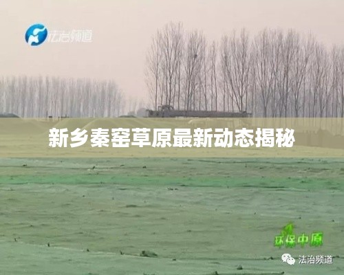 新乡秦窑草原最新动态揭秘