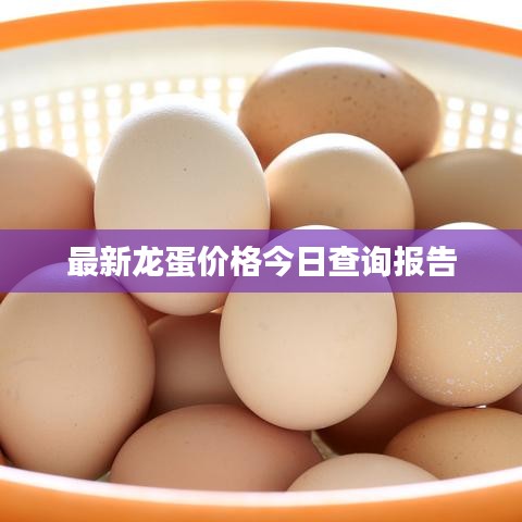 最新龙蛋价格今日查询报告