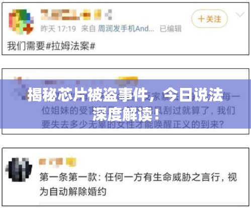 揭秘芯片被盗事件，今日说法深度解读！