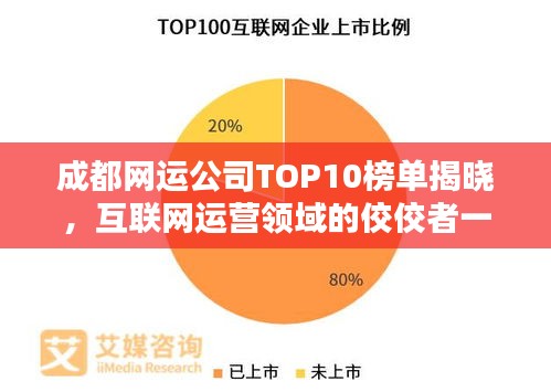 成都网运公司TOP10榜单揭晓，互联网运营领域的佼佼者一览无余