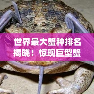 2025年6月11日
