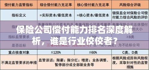 保险公司偿付能力排名深度解析，谁是行业佼佼者？