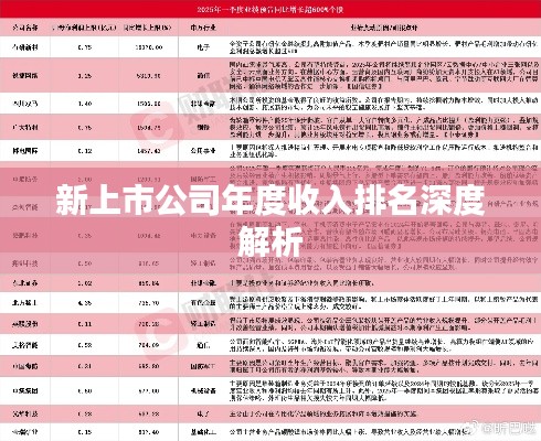 新上市公司年度收入排名深度解析