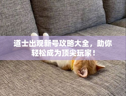 道士出观新号攻略大全，助你轻松成为顶尖玩家！