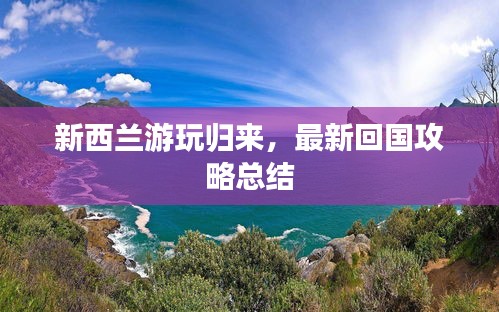 新西兰游玩归来，最新回国攻略总结