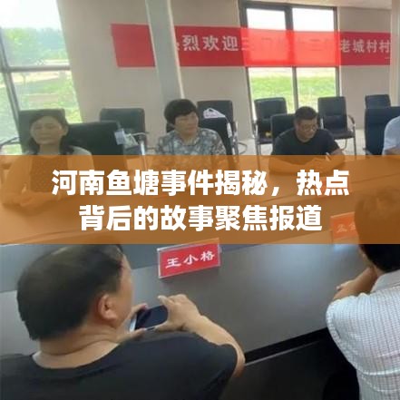 河南鱼塘事件揭秘，热点背后的故事聚焦报道