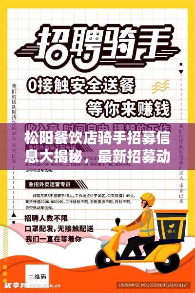 松阳餐饮店骑手招募信息大揭秘，最新招募动态，火速报名！