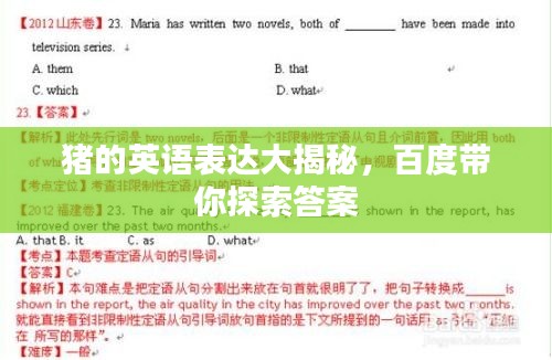 猪的英语表达大揭秘，百度带你探索答案