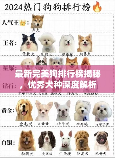 最新完美狗排行榜揭秘，优秀犬种深度解析