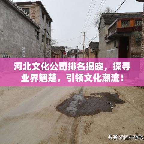河北文化公司排名揭晓，探寻业界翘楚，引领文化潮流！